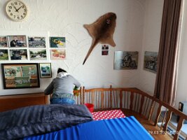IMG_20250329_110734
