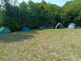 IMG_20250614_105244