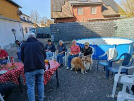IMG_20250412_172144